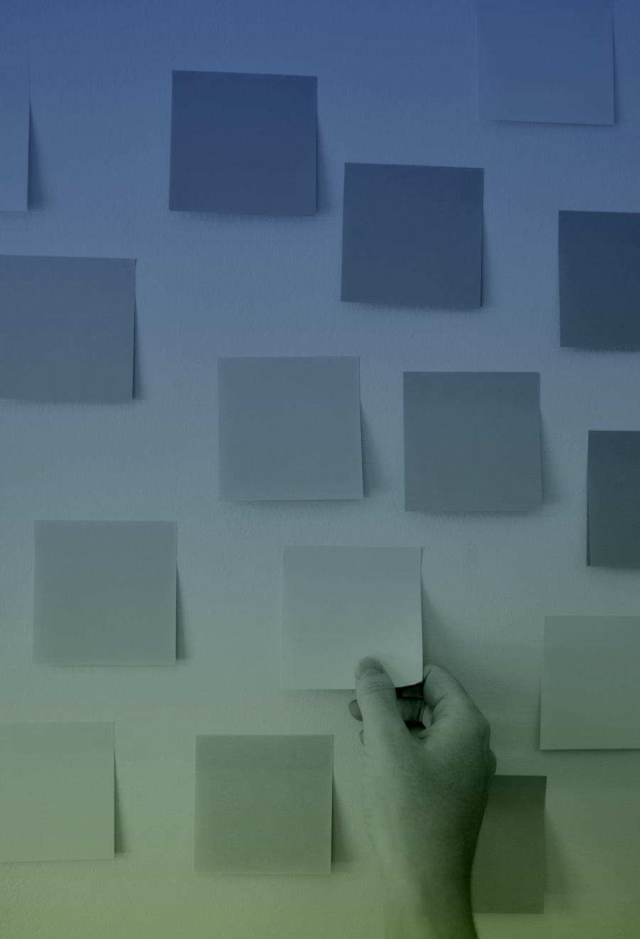 Photograph of sticky notes on wall