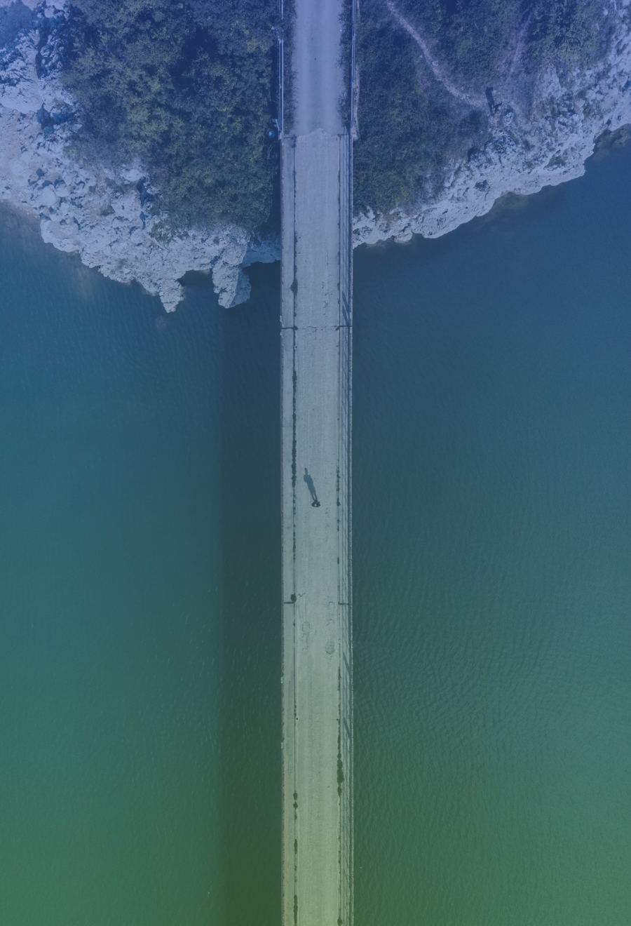 Council Advisors Insight Image